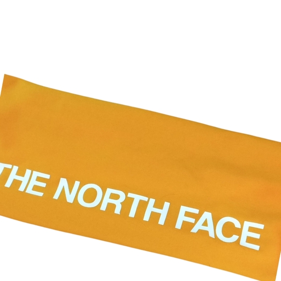 The North Face Boys Hoodie Shirt Size L 12 - Picture 3 of 4